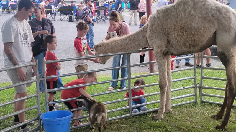 Beverly Fireman’s Festival Highlights